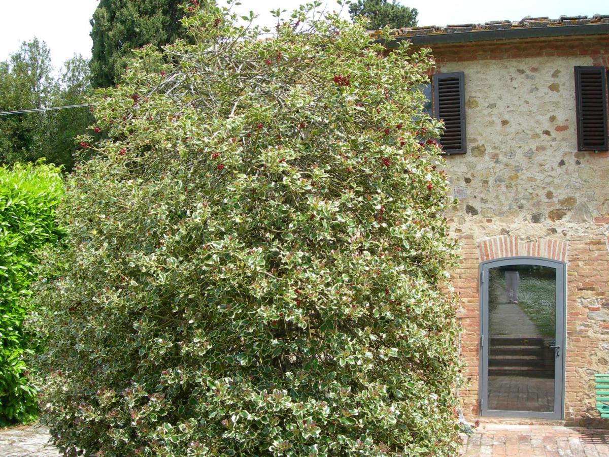 L Agrifoglio Panzió Castelnuovo Berardenga Kültér fotó